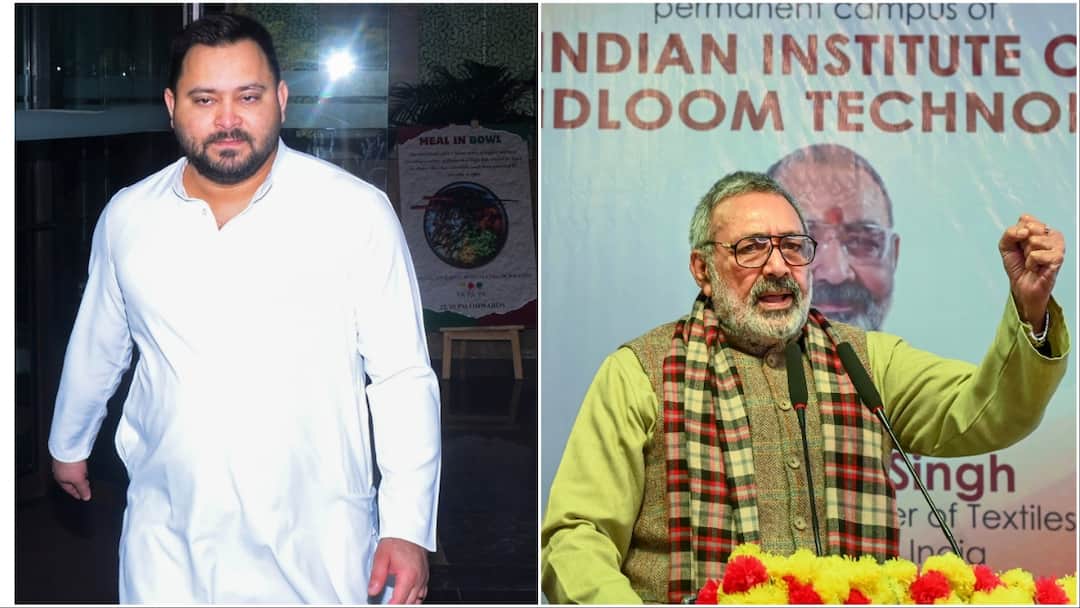 Bihar News Giriraj Singh Hits Back At Tejashwi For Claiming BJP Trying To Stop Political Debut Of Nitish Kumar Son Giriraj Singh Hits Back At Tejashwi For Claiming BJP Trying To Stop Political Debut Of Nitish Kumar's Son