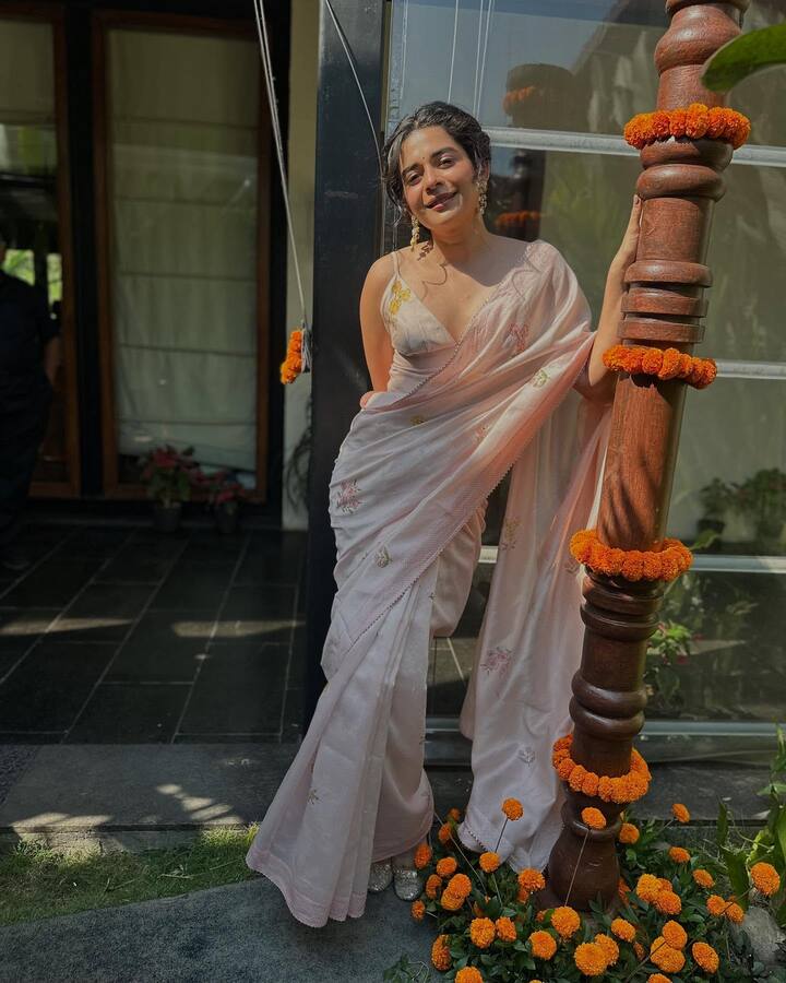 पालकरने 2015 मध्ये मराठी भाषेतील माझं हनीमून या लघुपटातून अभिनय क्षेत्रात पदार्पण केले.