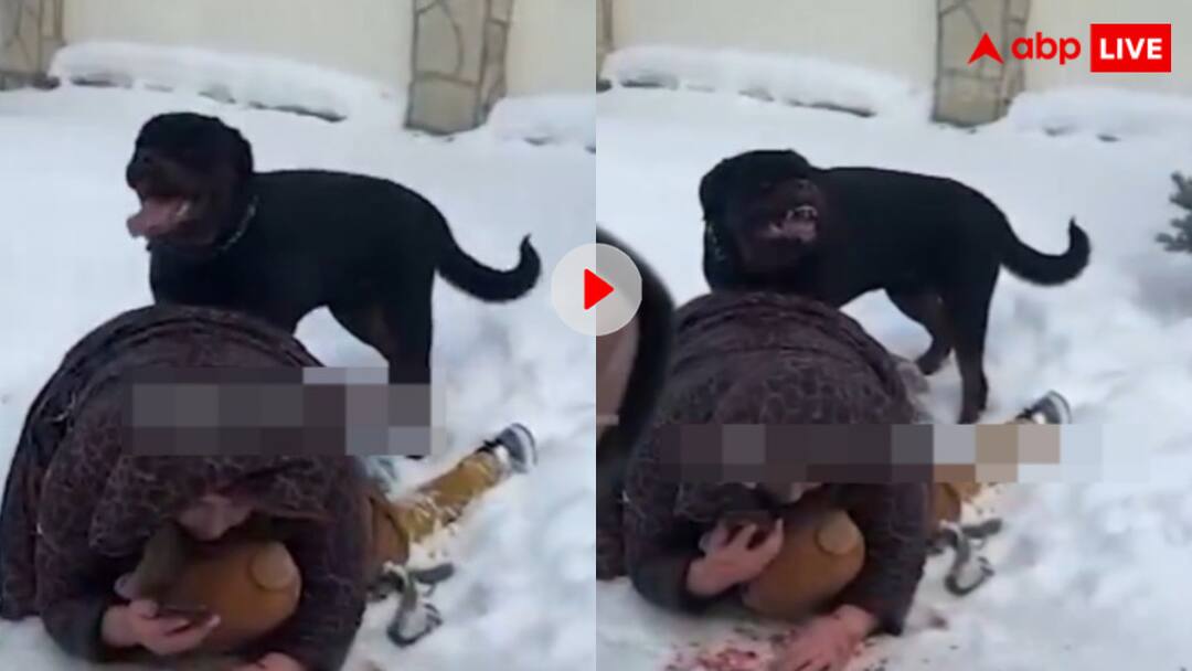 Rottweiler dog attacks 5 year old child mother saves his life video goes viral खूंखार रॉटविलर ने बच्चे पर किया हमला तो मां ने दांव पर लगा दी खुद की जान, देखें वीडियो