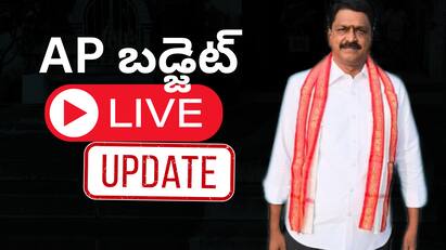 కూటమి ప్రభుత్వం తొలి పూర్తి స్థాయి బడ్జెట్ ఇదే - ఆయా రంగాలకు కేటాయింపులు ఇలా