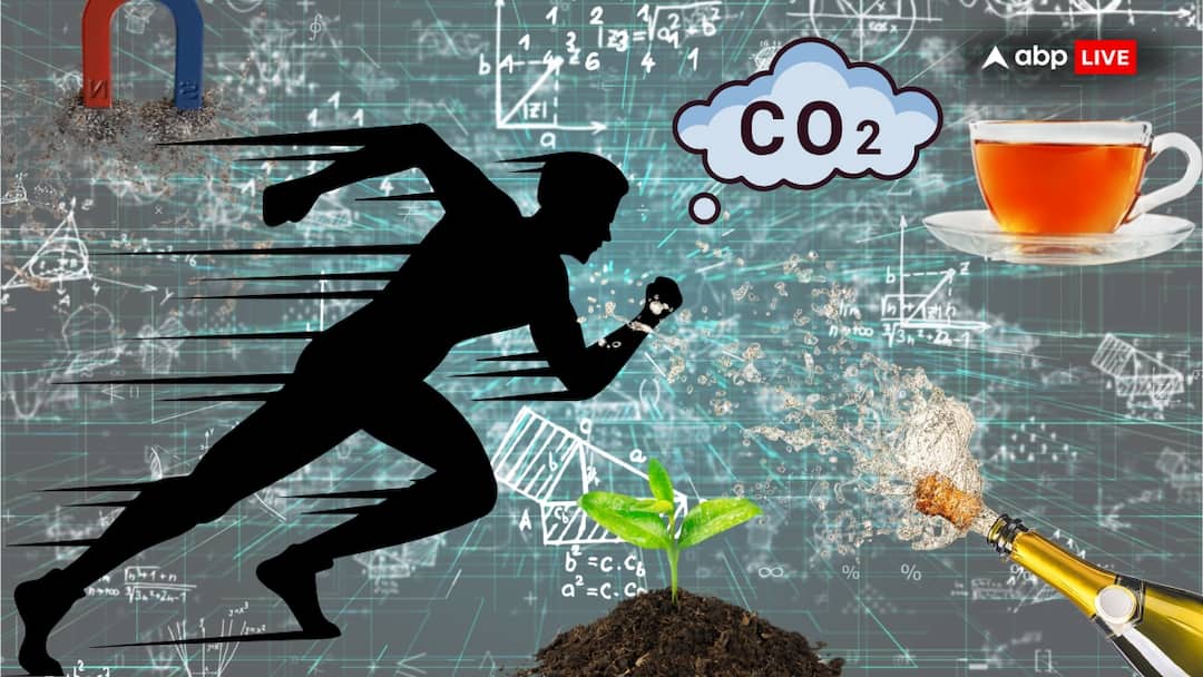 Breathing, Waking Up, To Morning Tea: How Physics, Chemistry, And Biology Shape Your Daily Life national science day Everyday Science: How Physics, Chemistry, and Biology Shape Your Daily Life Breathing, Waking Up, To Morning Tea: How Physics, Chemistry, And Biology Shape Your Daily Life