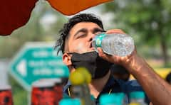 Weather Forecast: একধাক্কায় ৩৪ ডিগ্রি ছোঁবে শহরের তাপমাত্রা! মার্চেই মারাত্মক গরম?