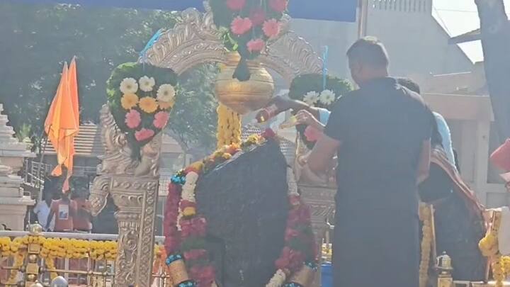 अन्न व भेसळ तपासणी अहवालानुसार काही तेलांमध्ये भेसळ आढळल्याने शनिदेवाच्या मूर्तीवर परिणाम होत आहे.