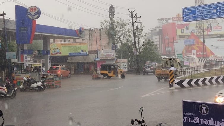 TN Rains Tanjore Heavy rain in the area tnn ஜில்லுன்னு மாறியது தஞ்சை... எதனால் என்று தெரியுங்களா?