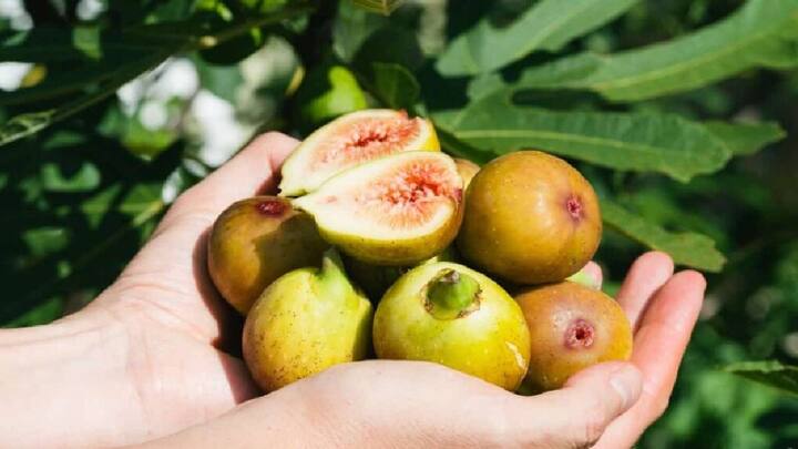 आपल्या बारामती लोकसभा मतदारसंघातील पुरंदरच्या अंजीराची दखल माननीय प्रधानमंत्री नरेंद्रजी मोदी यांनी भाषणादरम्यान घेतली. ही अतिशय आनंदाची आणि अभिमानाची बाब आहे.