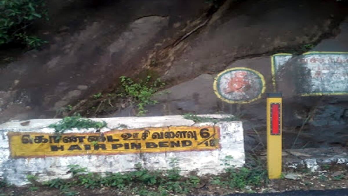 வாகனத்தில் செல்லும்போது வீசிய துர்நாற்றம்.. பார்த்ததும் அதிர்ச்சி அடைந்த மக்கள்