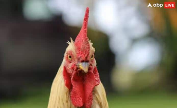 ਦੁਨੀਆਂ ਵਿੱਚ ਮੌਜੂਦ ਸਾਰੇ ਜਾਨਵਰਾਂ ਦੀ ਆਪਣੀ ਵਿਸ਼ੇਸ਼ਤਾ ਹੈ, ਜਿਸ ਕਾਰਨ ਉਹ ਜਾਣੇ ਜਾਂਦੇ ਹਨ।