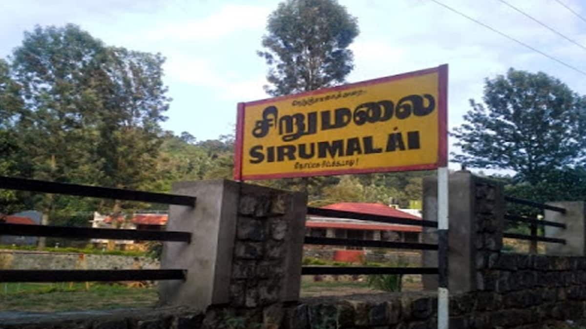 வாகனத்தில் செல்லும்போது வீசிய துர்நாற்றம்.. பார்த்ததும் அதிர்ச்சி அடைந்த மக்கள்