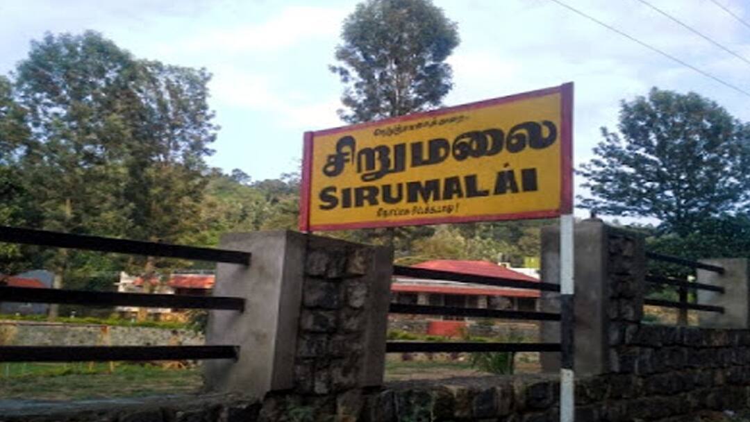 வாகனத்தில் செல்லும்போது வீசிய துர்நாற்றம்.. பார்த்ததும் அதிர்ச்சி அடைந்த மக்கள்