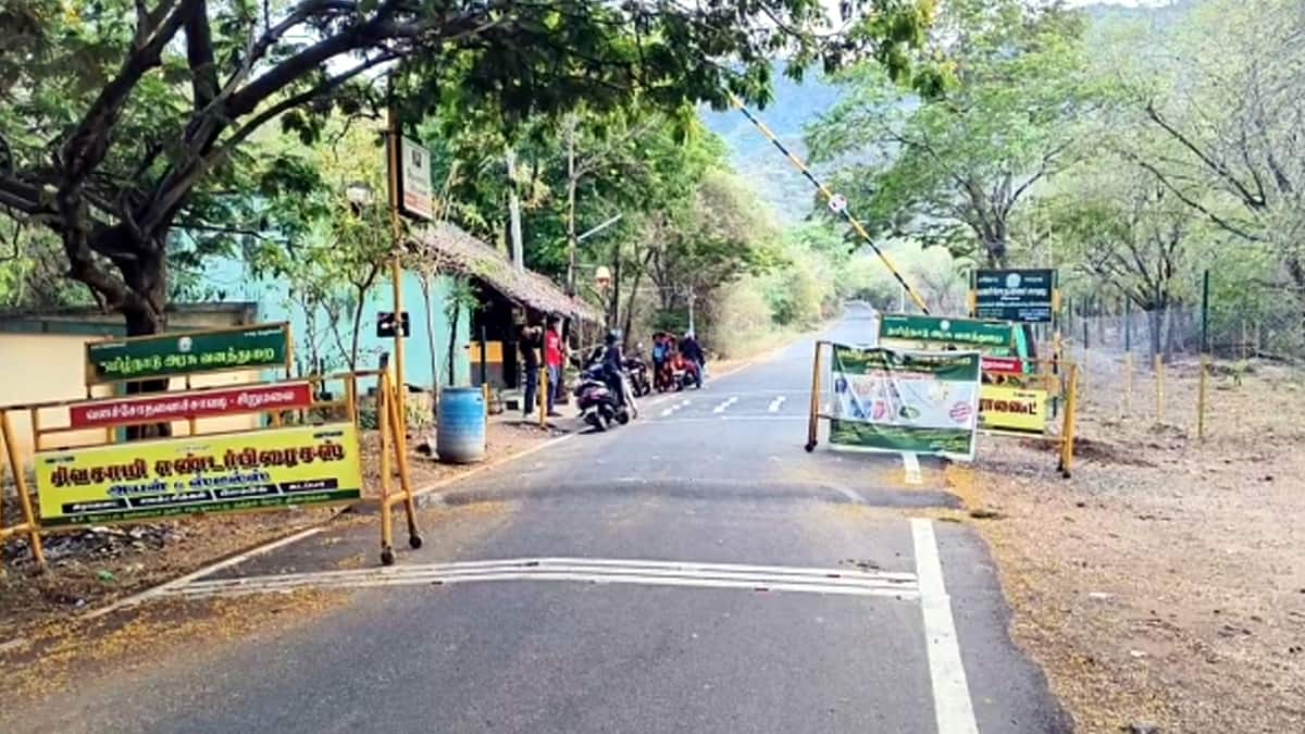 வாகனத்தில் செல்லும்போது வீசிய துர்நாற்றம்.. பார்த்ததும் அதிர்ச்சி அடைந்த மக்கள்