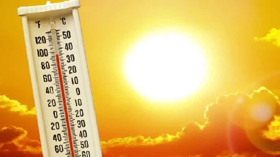 Tamil Nadu Becomes First State To Launch Dedicated Heat Resilience Centre With UK