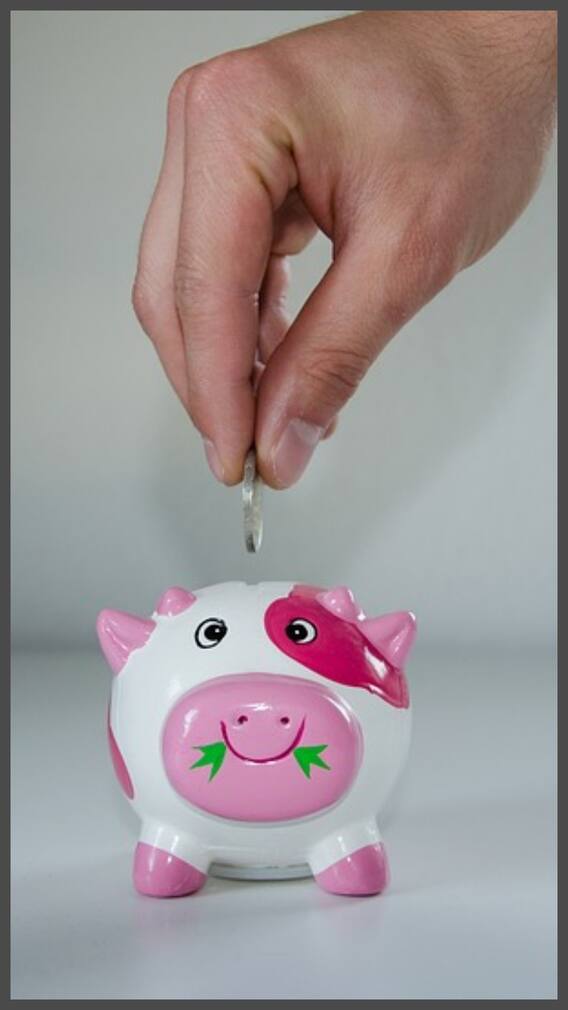 20 હજારના પગારદાર કેવી રીતે કરી શકે છે બચત?