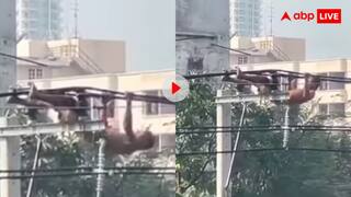 भाई की यमराज से यारी है...बिजली के तारों पर लगाने लगा पुशअप, देखें वीडियो
