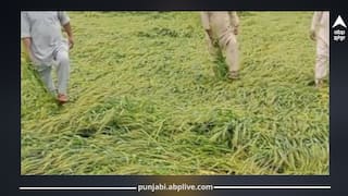 Punjab News: ਪੰਜਾਬ ਦੇ ਕਿਸਾਨ ਨਵੀਂ ਮੁਸੀਬਤ ਨਾਲ ਘਿਰੇ! ਹੁਣ ਪਰੇਸ਼ਾਨ ਹੋ ਕਰ ਦਿੱਤਾ ਵੱਡਾ ਐਲਾਨ...