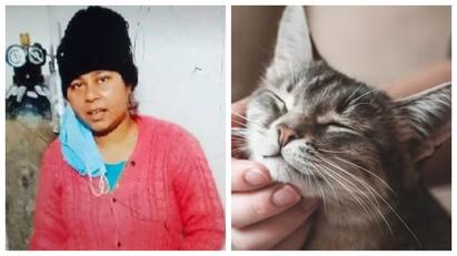 Uttar Pradesh Woman Cat Dies She Keeps Body For 2 Days Then Kills Herself உயிருக்கு உயிராக இருந்த செல்லப்பிராணி.. பூனை இறந்த 2 நாளில் பெண் தற்கொலை!