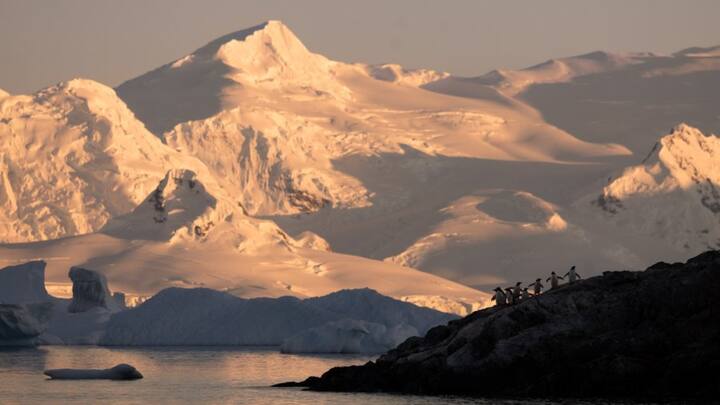 आर्कटिक और अंटार्कटिका में कठोर मौसम और जियोग्रफिक स्थिति के कारण इन जगहों पर युद्ध या परमाणु हमले का खतरा कम है.