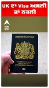 UK ਦਾ Visa ਅਸਲੀ ਜਾਂ ਨਕਲੀ, ਇਹ ਜਾਣਨ ਲਈ ਅਪਣਾਓ ਇਹ ਤਰੀਕਾ