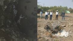 एमपी: सीहोर में कुएं में गिरकर तेंदुए के बच्चे की मौत, वन विभाग ने किया अंतिम संस्कार