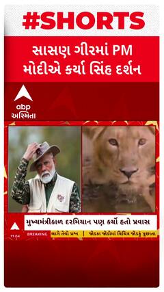 PM Modi Visit Lion Safari at Gir National Park : PM મોદીએ માણી જંગલ સફારીની મજા, કરી ફોટોગ્રાફી