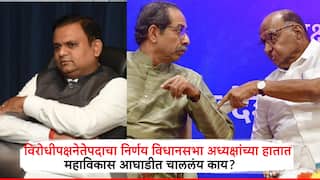 Budget Session 2025: विरोधीपक्षनेतेपदाचा निर्णय विधानसभा अध्यक्षांच्या हातात, राहुल नार्वेकर काय भूमिका घेणार?