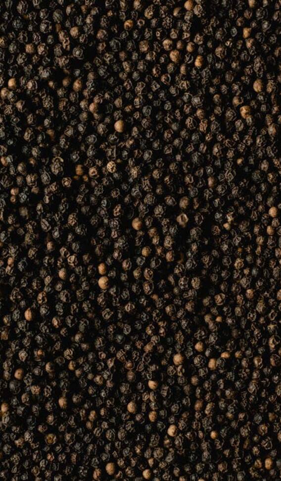काली मिर्च के सेवन से मिलते हैं इतने फायदे