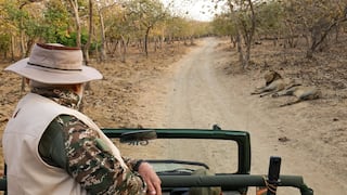 Lion Safari Visit: સાસણમાં PM મોદીએ કર્યા સિંહ દર્શન, 'વર્લ્ડ વાઈલ્ડલાઈફ ડે' પર આપ્યો સંદેશ