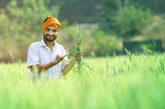 પીએમ કિસાન યોજના હેઠળ સરકાર ખેડૂતોને વાર્ષિક 6 હજાર રૂપિયાની નાણાકીય સહાય પૂરી પાડે છે. આ રકમ દર 4 મહિનાના સમયગાળામા 2000 રૂપિયાના ત્રણ હપ્તામાં ખેડૂતોના ખાતામાં મોકલવામાં આવે છે.
