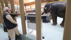 शेर से मिलाई नजरें, चिंपैंजी को किया दुलार, शावकों को पिलाया दूध! वनतारा में दिखा PM मोदी का जुदा अंदाज; देखें तस्वीरें