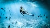 Explore India's Best Snorkelling Hotspots