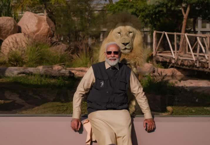 PM Modi in Vantara: વડાપ્રધાન નરેન્દ્ર મોદીએ ગુજરાતમાં વન્યજીવન બચાવ, પુનર્વસન અને સંરક્ષણ કેન્દ્ર વનતારાનું ઉદ્ઘાટન કર્યું હતું. ત્યારબાદ પીએમ મોદીએ વનતારાની અલગ અલગ સુવિધાઓનું નિરીક્ષણ કર્યું હતું. વનતારા બે હજારથી વધુ પ્રજાતિઓ અને દોઢ લાખથી વધુ રેસ્ક્યૂ કરવામાં આવેલા લુપ્તપ્રાય પ્રાણીઓનું ઘર છે. પીએમ મોદીએ વનતારામાં વિવિધ સુવિધાઓ વિશે માહિતી મેળવી હતી. સાથે અલગ અલગ સ્થળોથી રેસ્ક્યૂ ઉપરાંત, તે અલગ અલગ જગ્યાએથી વિવિધ પ્રજાતિઓના બચાવેલા પ્રાણીઓ પાસે ગયા હતા અને તેમને ખવડાવ્યું હતું.