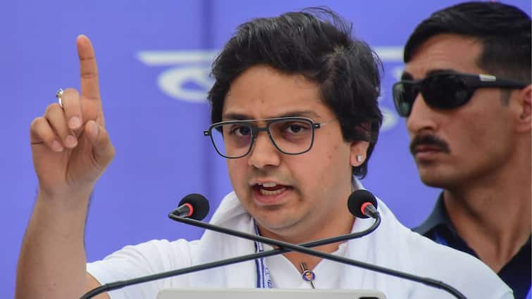 In And Out Of BSP In Nearly 9 Years, Who Is Expelled Leader Akash Anand?