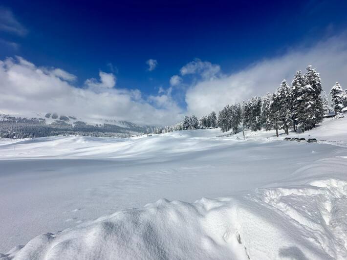 प्रबंध समिति की बैठक के बाद मीडिया से बात करते हुए मिंगा शेरपा ने कहा कि 5वें खेलो इंडिया विंटर गेम्स में भाग लेने वाले खिलाड़ियों, विजिटर्स और अधिकारियों के लिए सभी जरूरी व्यवस्थाएं पूरी कर ली गई हैं.