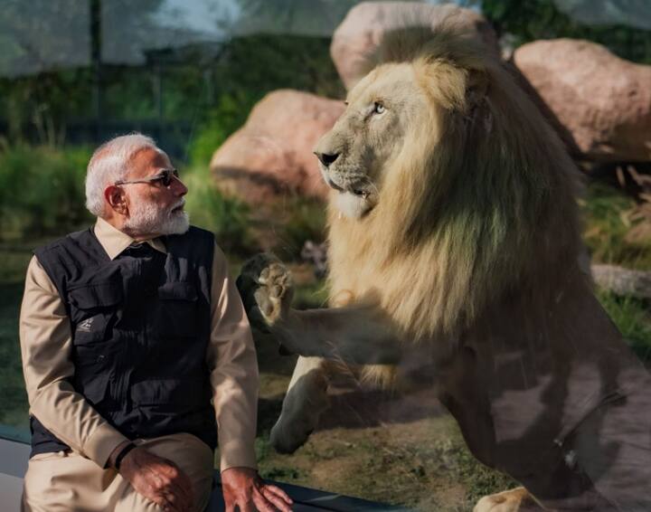 વડાપ્રધાને વનતારા ખાતે વન્યજીવ હોસ્પિટલની મુલાકાત લીધી હતી. તેમાં પ્રાણીઓ માટે MRI, CT સ્કેન, ICU અને અન્ય સુવિધાઓ છે અને તેમાં વન્યજીવ એનેસ્થેસિયા, કાર્ડિયોલોજી, નેફ્રોલોજી, એન્ડોસ્કોપી, દાંતની હોસ્પિટલ, ઇન્ટરનલ મેડિસિન વગેરે વિભાગો પણ છે.