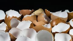 Eggshells Benefits: ভুলেও ফেলবেন না, এভাবে ব্যবহার করুন ডিমের খোসা, কী লাভ?