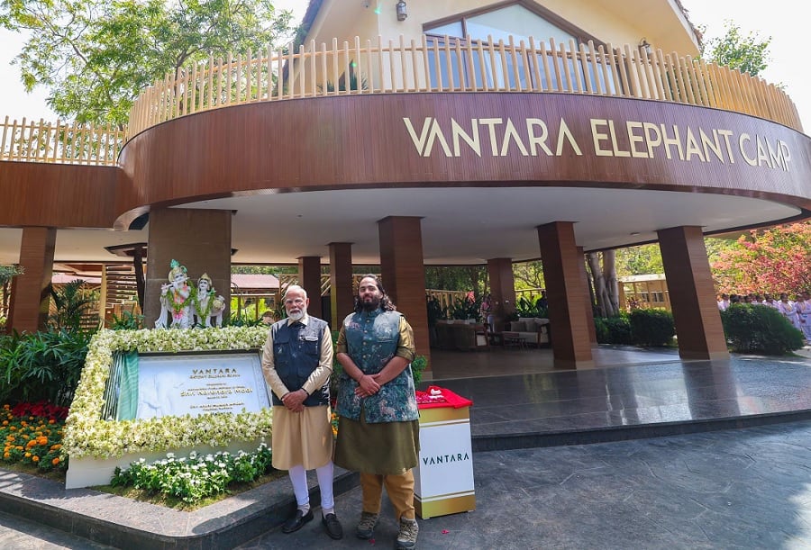 PM Modi Visits Vantara: సింహం పిల్లలకు పాలుపట్టి... పులి పిల్లలతో ఆటలాడుతూ.. వంతారాలో గడిపిన ప్రధాని మోదీ