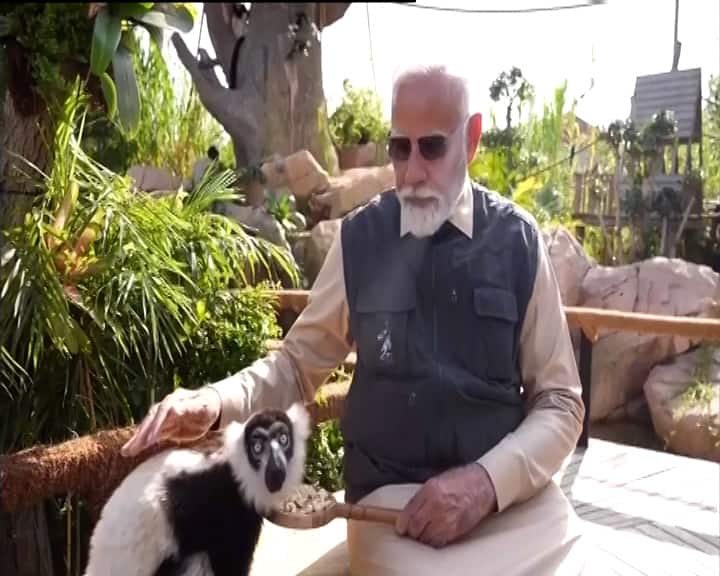 વનતારામાં પીએમ મોદીએ એક વિશાળ અજગર, એક અનોખો બે માથાવાળો સાપ, બે માથાવાળો કાચબો, એક વિશાળ ઓટર, બોંગો અને સીલ પણ જોયા હતા. તેમની મુલાકાત દરમિયાન પીએમ મોદીએ એશિયાટિક સિંહના બચ્ચા, સફેદ સિંહના બચ્ચાઓને વ્હાલ કર્યું હતું. અહીં ખાસ વાત એ છે કે આ બધા પ્રાણીઓ દુર્લભ અને લુપ્તપ્રાય પ્રજાતિઓ છે.