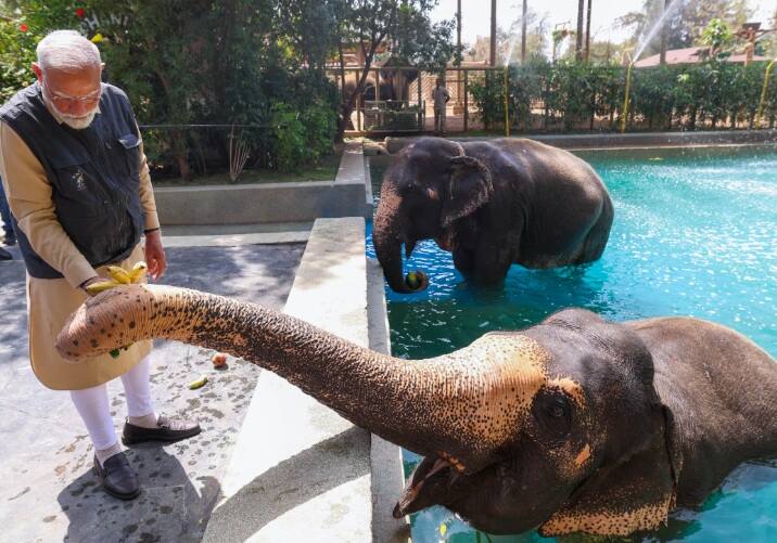 સંધિવા અને પગની સમસ્યાઓથી પીડાતા હાથીઓને સ્વસ્થ થવામાં મદદ કરે છે અને તેમની ચાલ સુધારવામાં મદદ કરે છે. પીએમ મોદીએ એલિફન્ટ હોસ્પિટલનું કામકાજ પણ જોયું, જે વિશ્વની સૌથી મોટી એલિફન્ટ હોસ્પિટલ છે. તેમણે કેન્દ્રમાં બચાવેલા પોપટને મુક્ત કર્યા હતા. આ પછી વડા પ્રધાન મોદીએ કેન્દ્રમાં વિવિધ સુવિધાઓની સંભાળ રાખતા ડોકટરો, સહાયક કર્મચારીઓ અને કાર્યકરો સાથે પણ વાતચીત કરી હતી.