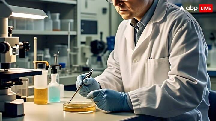 वैज्ञानिकों की टीम में एक ऐसा मॉडल बनाया है, जिससे धरती की गर्त में दबे सोने को बाहर निकाला जा सकता है. यूनिवर्सिटी ऑफ मिशिगन के साइंटिस्ट एडम सिमॉन की टीम, जिसमें आस्ट्रेलिया फ्रांस स्विट्जरलैंड और चीन के वैज्ञानिक शामिल हैं ने इस रहस्य को सुलझा लिया है.