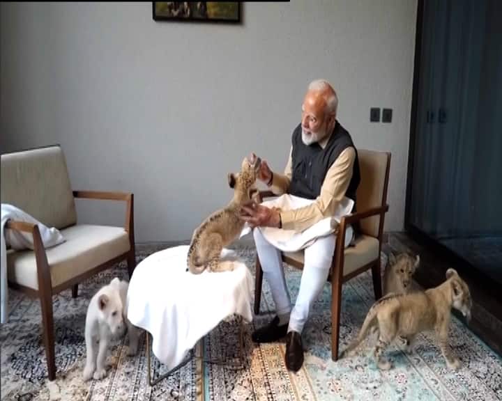 વડાપ્રધાન નરેન્દ્ર મોદીએ તાજેતરમાં જામનગરમાં વનતારા વન્યજીવન બચાવ કેન્દ્રની મુલાકાત લીધી હતી. હવે પીએમ મોદીની આ મુલાકાતનો એક વીડિયો સામે આવ્યો છે, જેમાં તેઓ સિંહના બચ્ચાને વ્હાલ કરતા જોવા મળે છે. આ વીડિયોમાં અનંત અંબાણી પોતે તેમને વનતારાની વિઝિટ કરાવતા જોવા મળે છે.