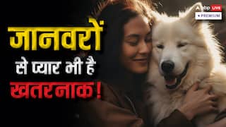 इंसान का जानवरों से बढ़ता संपर्क: क्या हम खुद को बीमारियों के खतरे में डाल रहे हैं?