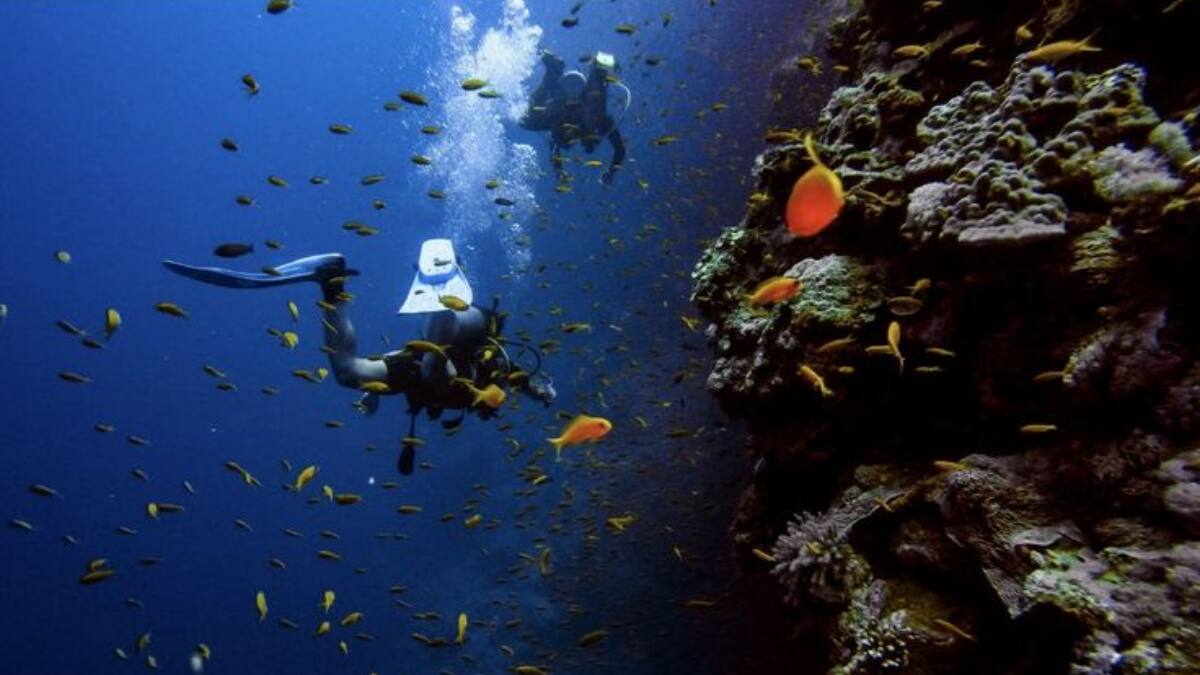 (Image Source: Pinterest/cwroseauthor)