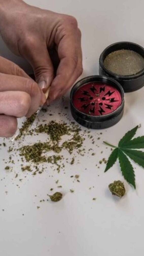 किन देशों में लीगल है चरस और गांजा?