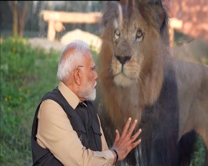 પીએમ મોદીએ વનતારા સ્થિત વન્યજીવન હોસ્પિટલની મુલાકાત લીધી અને ત્યાં જંગલી પ્રાણીઓની સારવાર માટેની વ્યવસ્થાનું નીરિક્ષણ કર્યું હતું. અહીં પ્રાણીઓ માટે MRI, CT સ્કેન, ICU વગેરેની વ્યવસ્થા છે.