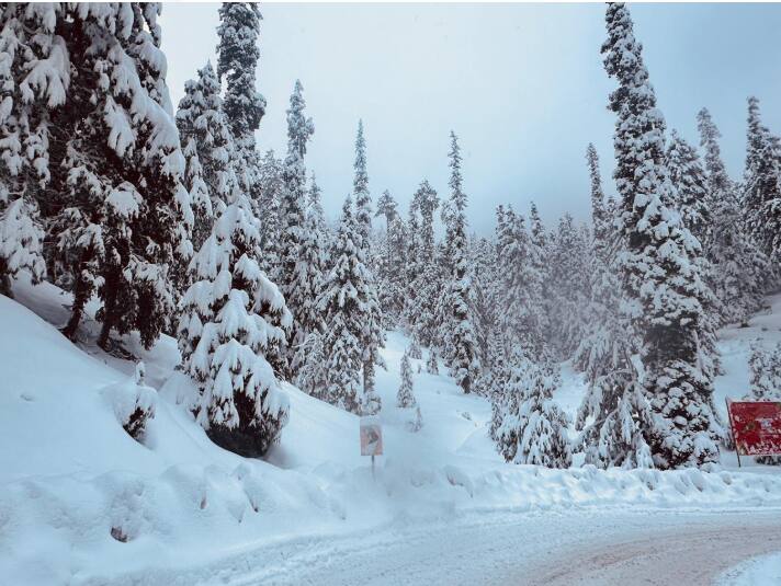 जानकारी के अनुसार, खेलों में 2000 से अधिक प्रतिभागी, अधिकारी और जज भाग लेंगे. बता दें अगले कुछ दिनों यानी 12 मार्च तक कश्मीर घाटी में और बर्फबारी की उम्मीद है.