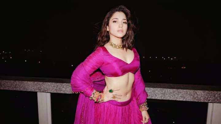 ছবিশিকারীরাও চাইত তাঁদের একসঙ্গে ফ্রেমবন্দি করতে। তবে কী হল এখন? সদ্যই নাকি তাঁরা সিদ্ধান্ত নিয়েছেন বিচ্ছেদের।