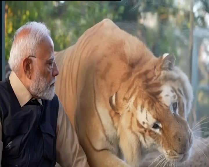 વનતારામાં પ્રાણીઓ માટે અનેક વિભાગો છે જેમાં વન્યજીવન એનેસ્થેસિયા, કાર્ડિયોલોજી, નેફ્રોલોજી, એન્ડોસ્કોપી, દંત ચિકિત્સા, દવાનો સમાવેશ થાય છે.