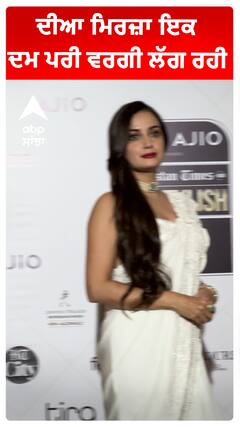 ਦੀਆ ਮਿਰਜ਼ਾ ਇਕ ਦਮ ਪਰੀ ਵਰਗੀ ਲੱਗ ਰਹੀ