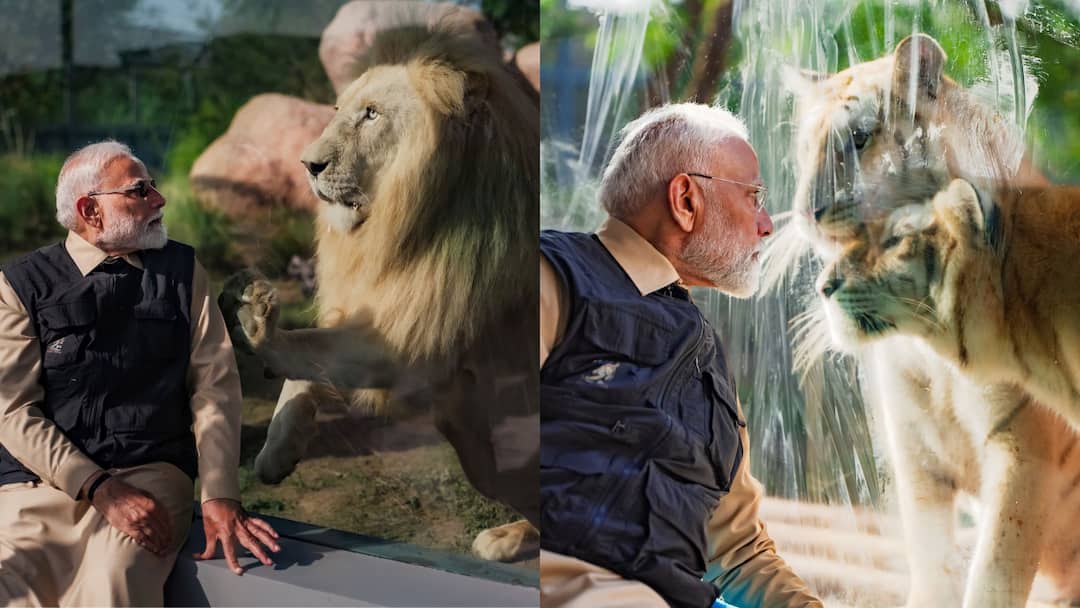 narendra modi inaguration vantara wildlife rescue rehabilitation and conservation centre gujarat wildlife marathi वाघाच्या बछड्यांना दूध पाजलं, सिंहासोबत फोटो; वनतारा वाईल्डलाईफचे पंतप्रधानांच्या हस्ते उद्घाटन