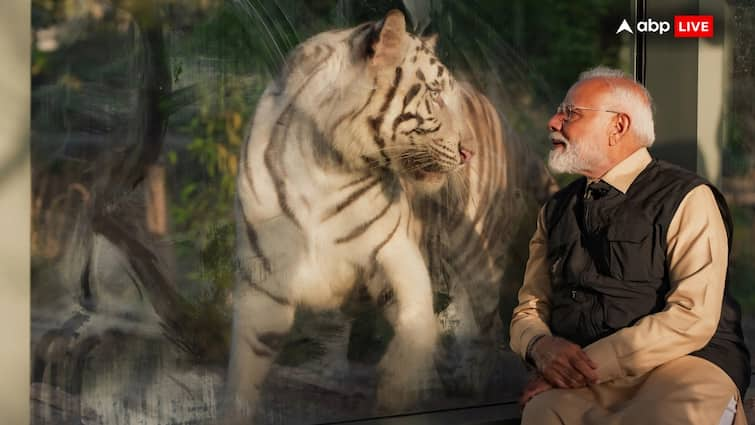 PM Modi Inaugurates Wildlife Centre At Vantara, Spends Time With White Lion Cubs