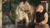 PM Modi Inaugurates Wildlife Centre At Vantara, Spends Time With White Lion Cubs